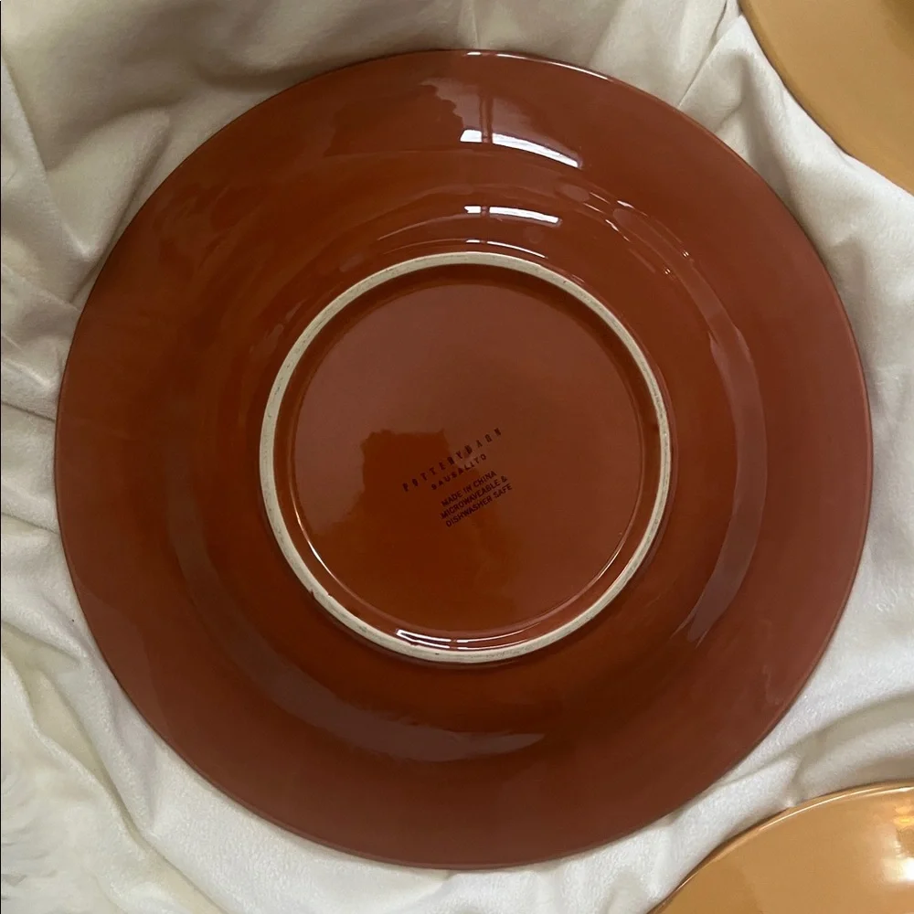 Pottery Barn Sausalito 4 Dinner Plates each 12 Inches each